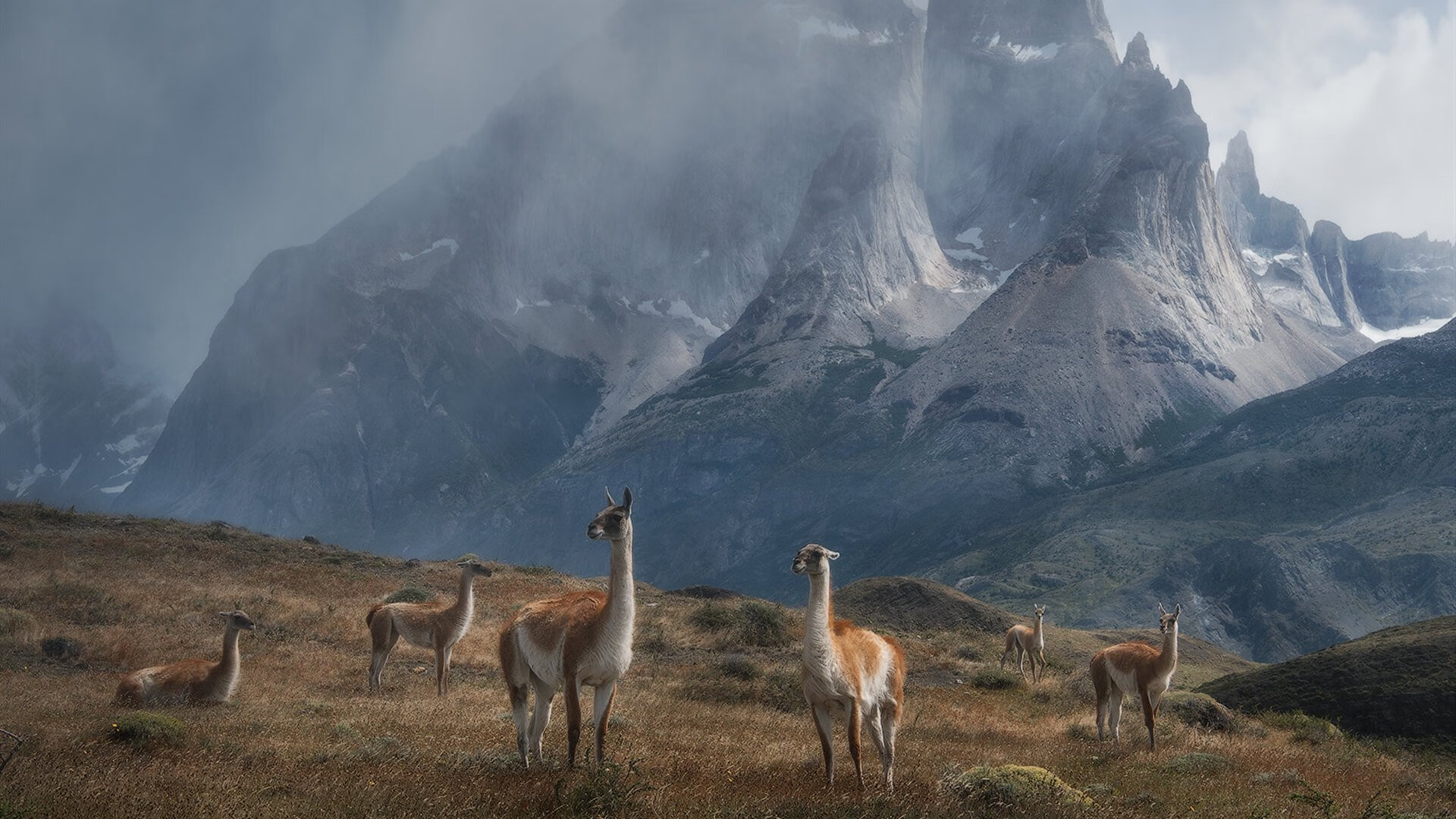 “智能裁判技术首次应用,提高比赛公平性”,裁判文书智能编写
