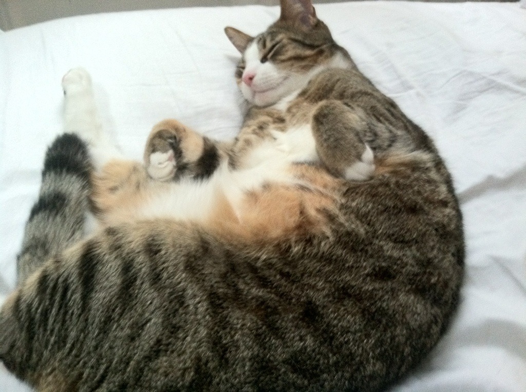 《智能硬件助力:电竞装备升级引领行业新潮流》,智能硬件创意