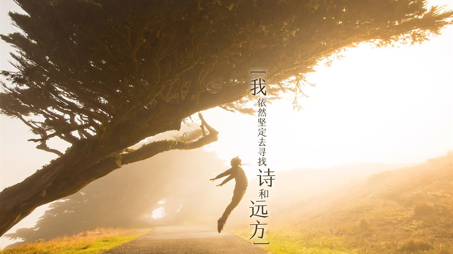 德赢app官网在线登录-【智能裁判的崛起】未来棒球是否由机器决定胜负？，智慧棒球