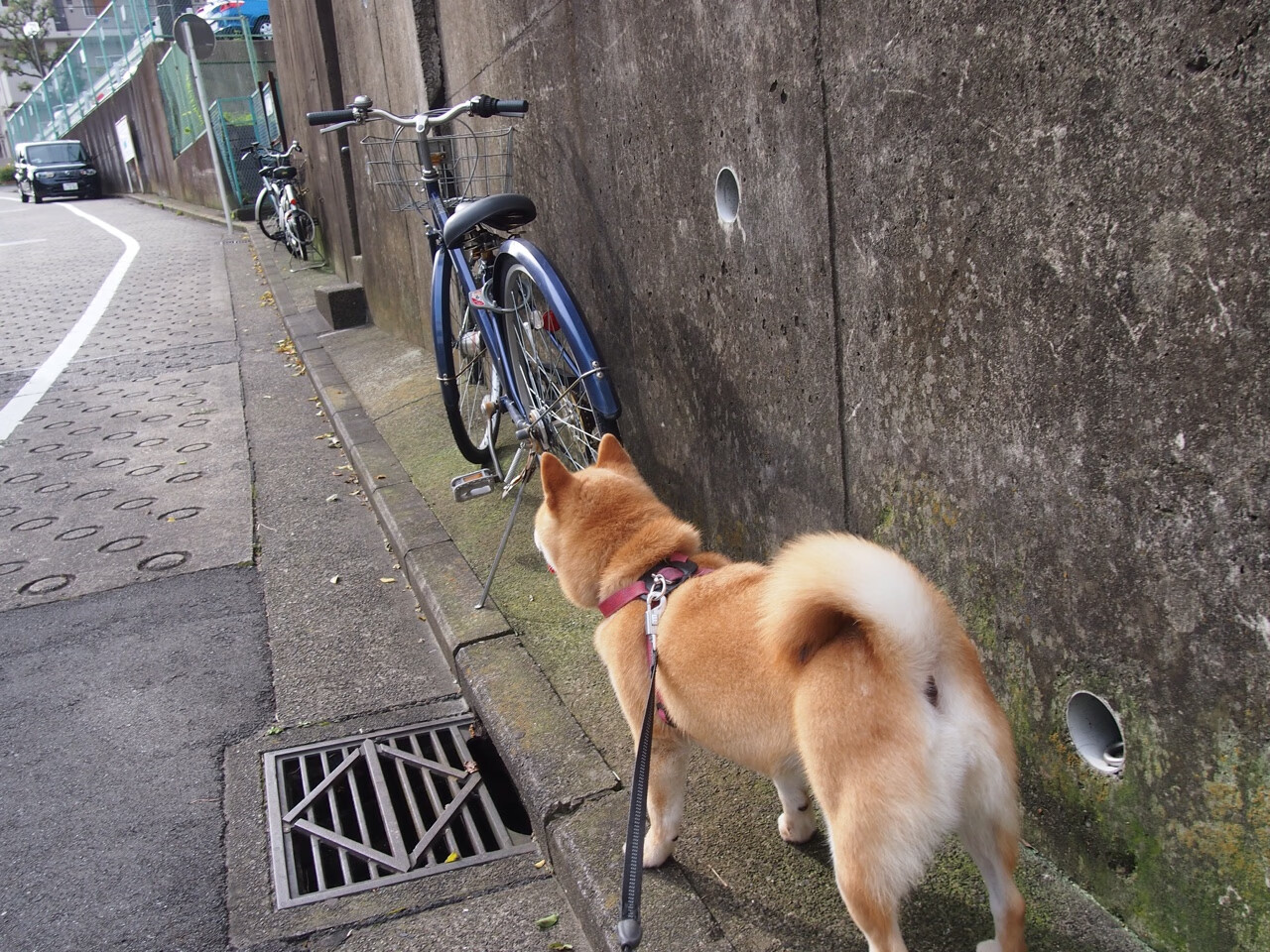 国家级足球训练基地引入VR虚拟现实技术,革新青训模式,十大足球训练基地