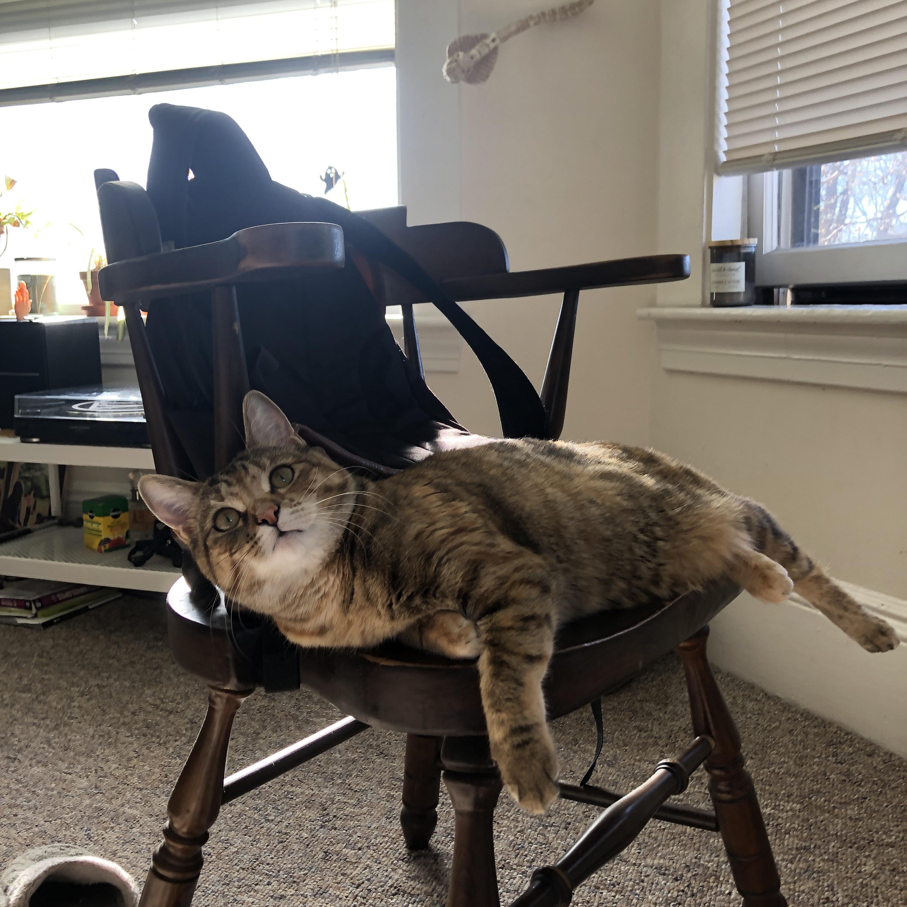 电竞综艺节目受欢迎,拓宽娱乐边界,电竞题材的综艺