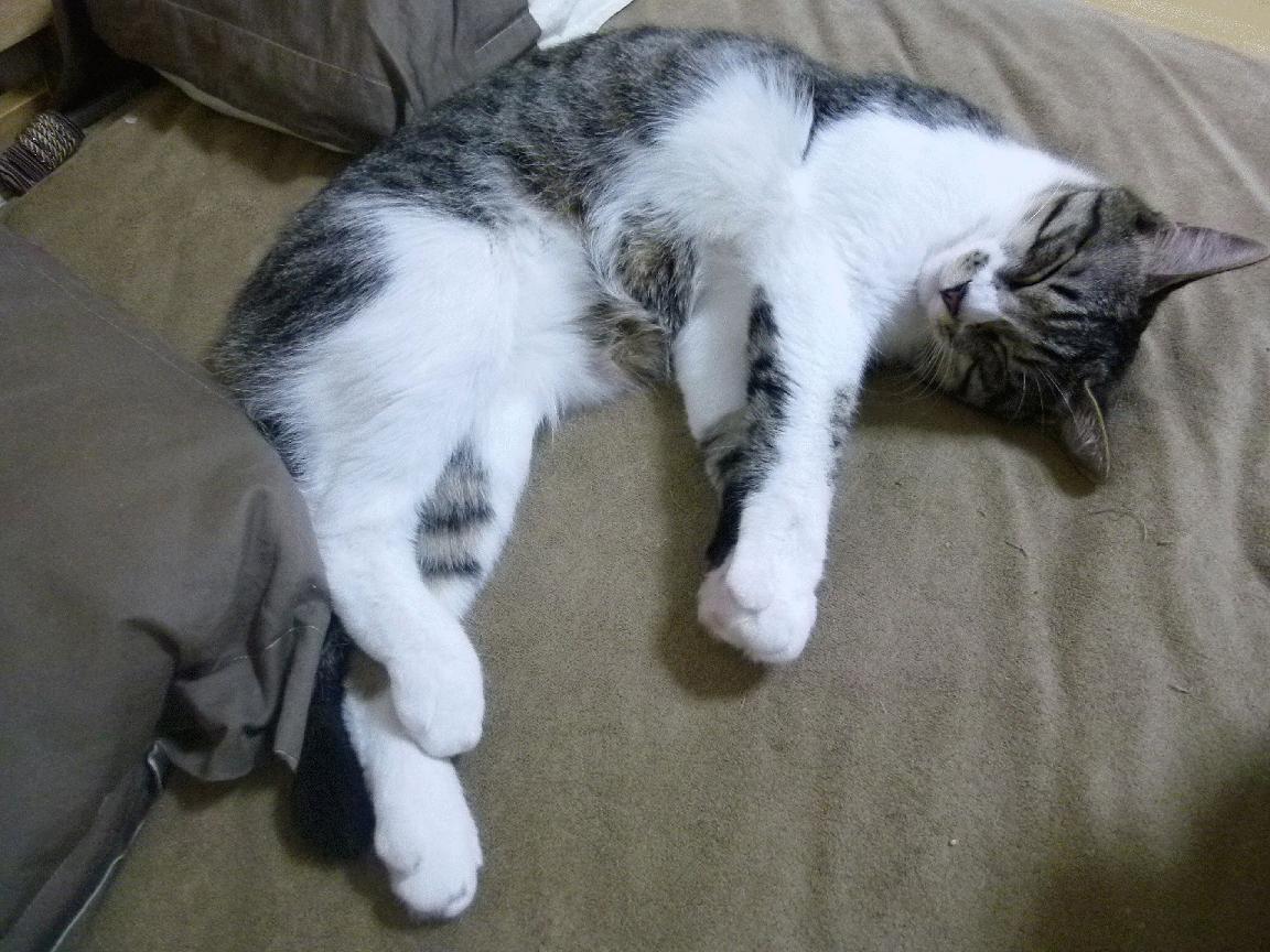 德赢体育app下载安装官方-电竞职业联赛冠名赞助商变更，市场反响热烈，电竞 赞助