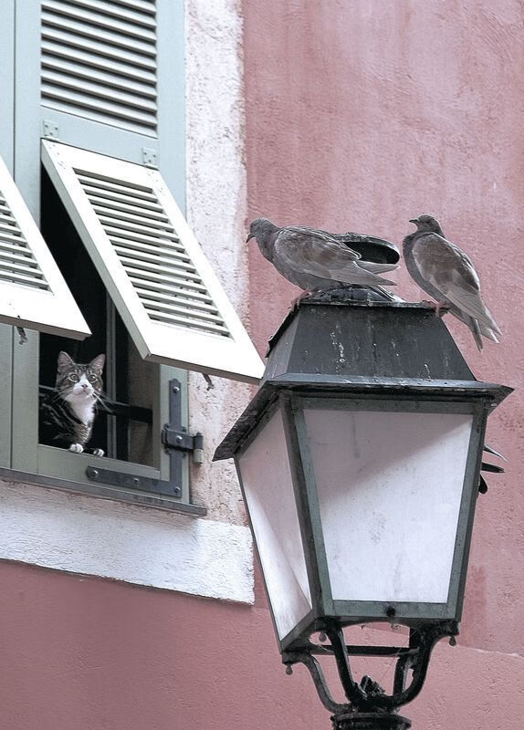 德赢官网登录入口-巴特勒关键抢断热火击败黄蜂，巴特勒在热火