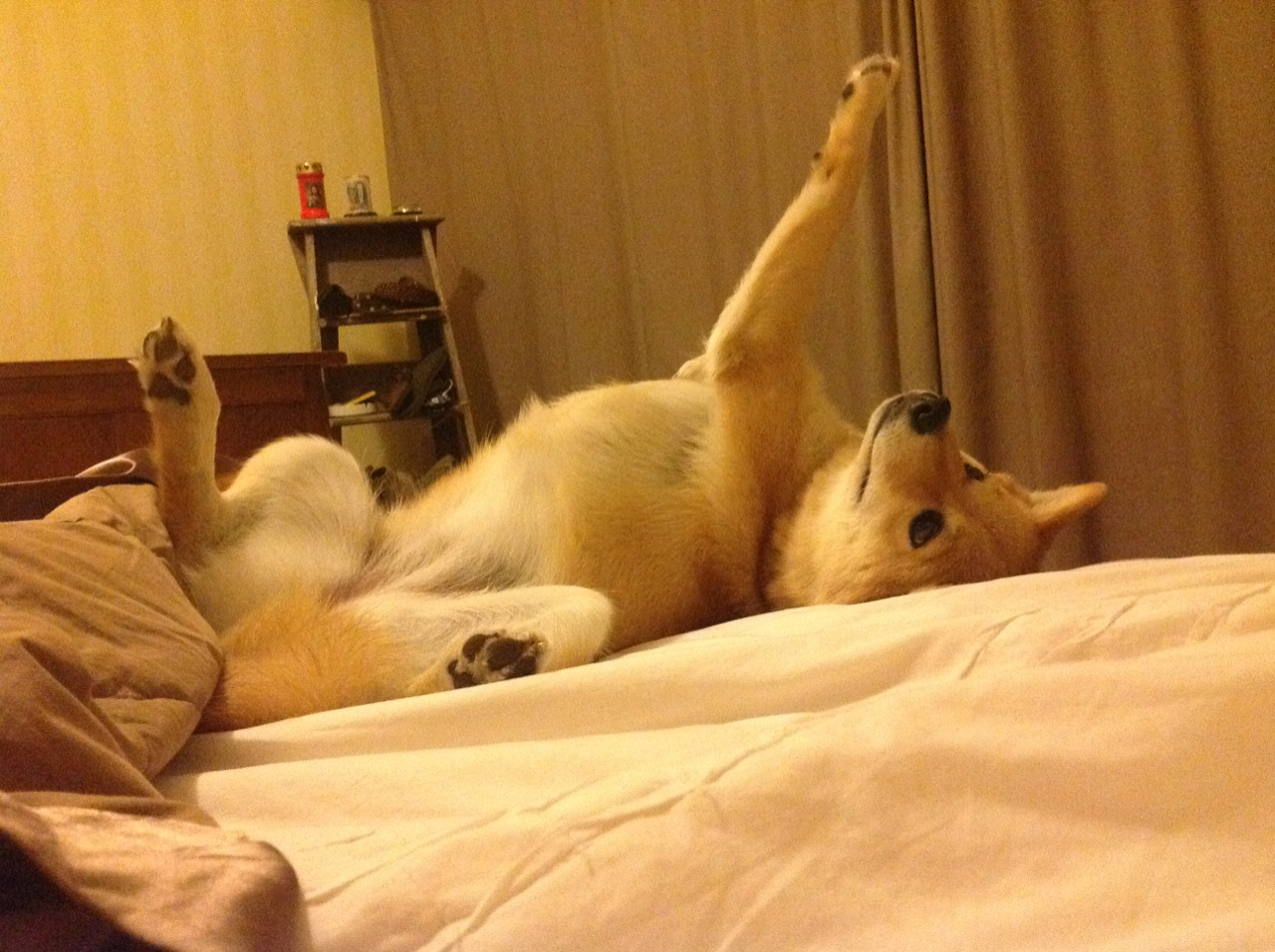 德赢体育官网入口-巴特勒带队热火主场赢球，2021热火巴特勒伤势