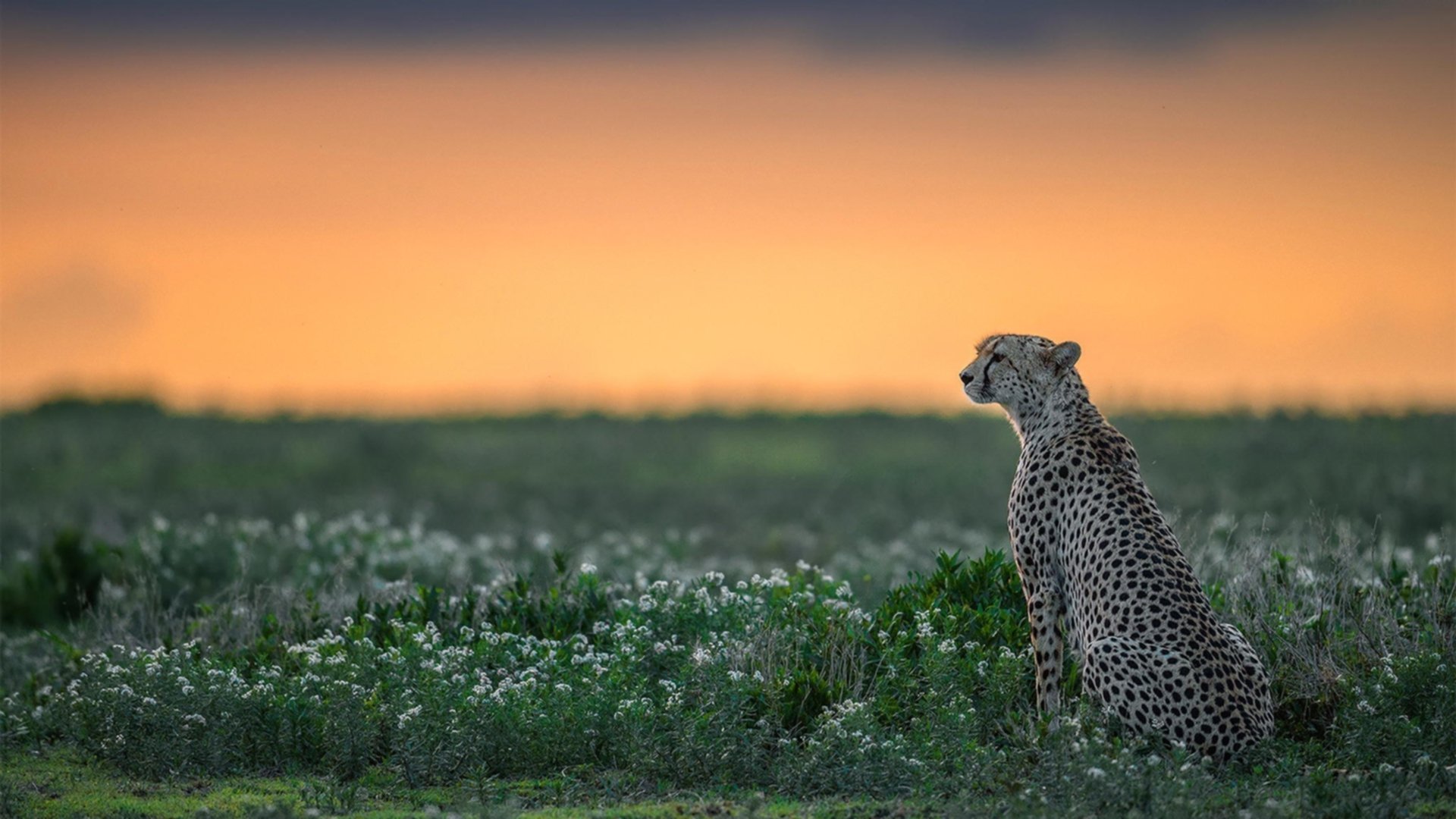 德赢官网登录入口官网网页-巴特勒带队拿下关键胜利，巴特勒原来在哪个队
