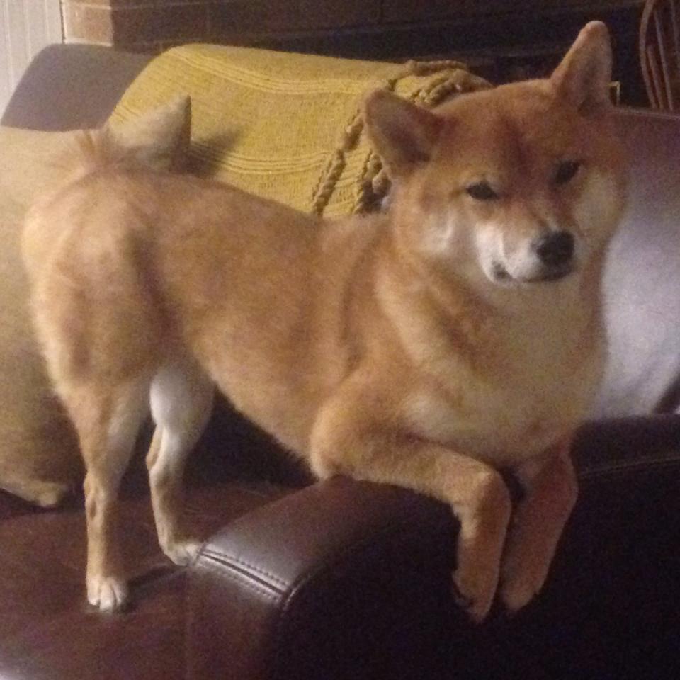 杜埃勒进球领取法甲胜利,获得关键三分,杜埃品牌