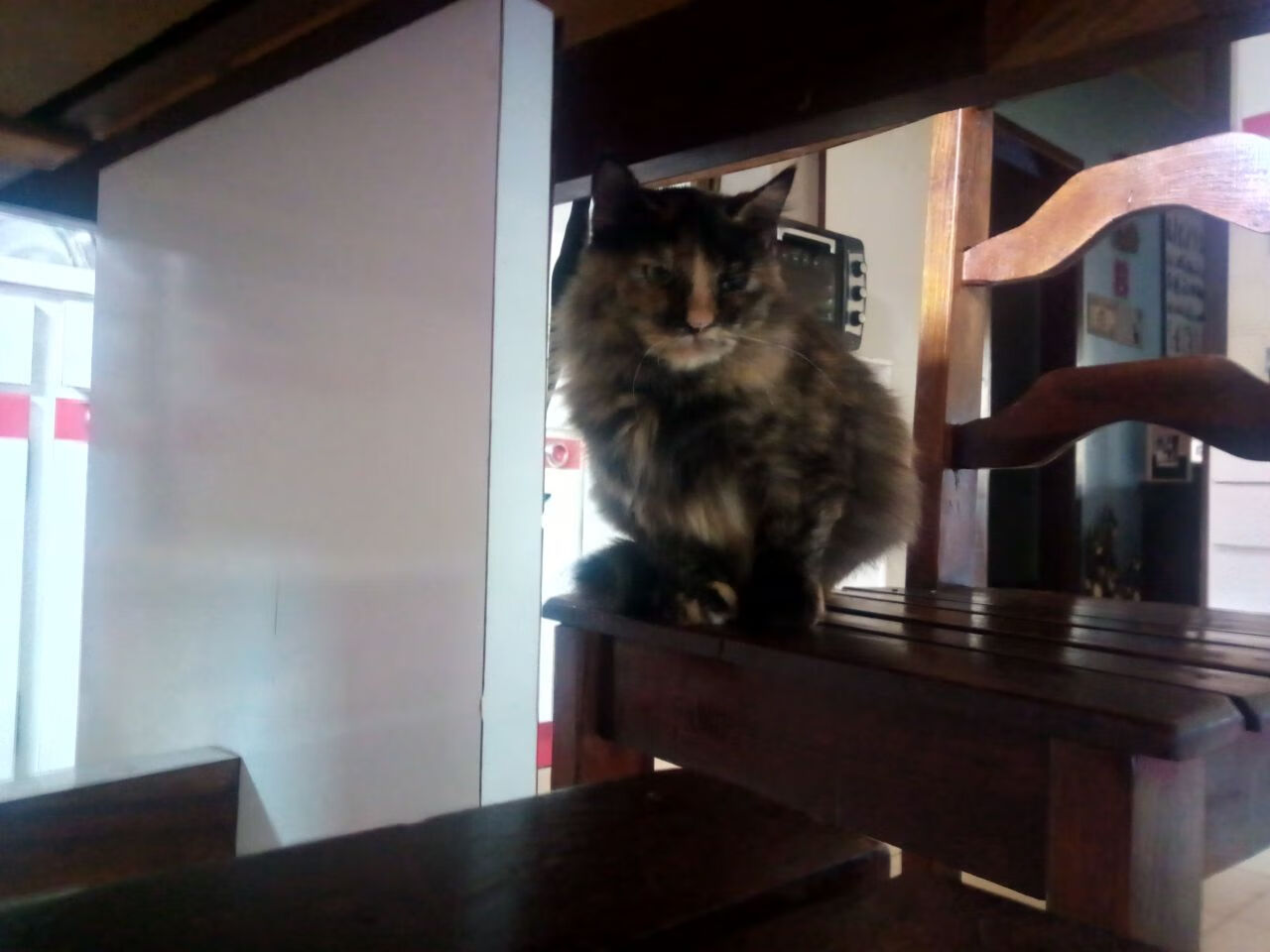 美属维尔京群岛女足球员因伤退赛,球队人员不足!,美属维尔京群岛奥运会