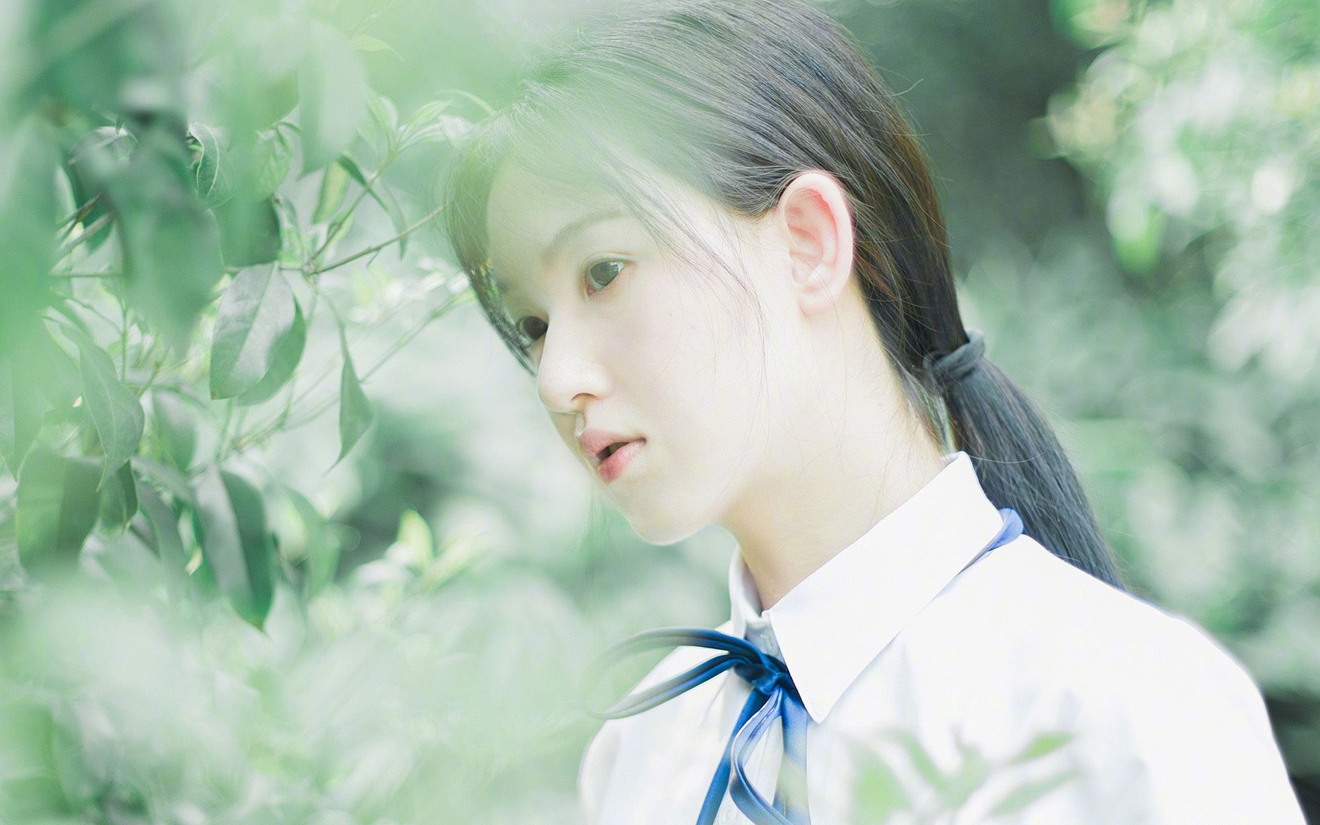 VWIN(china)官方网站-里尔主帅获赞，坚守传统战术取得连胜，里尔足球队