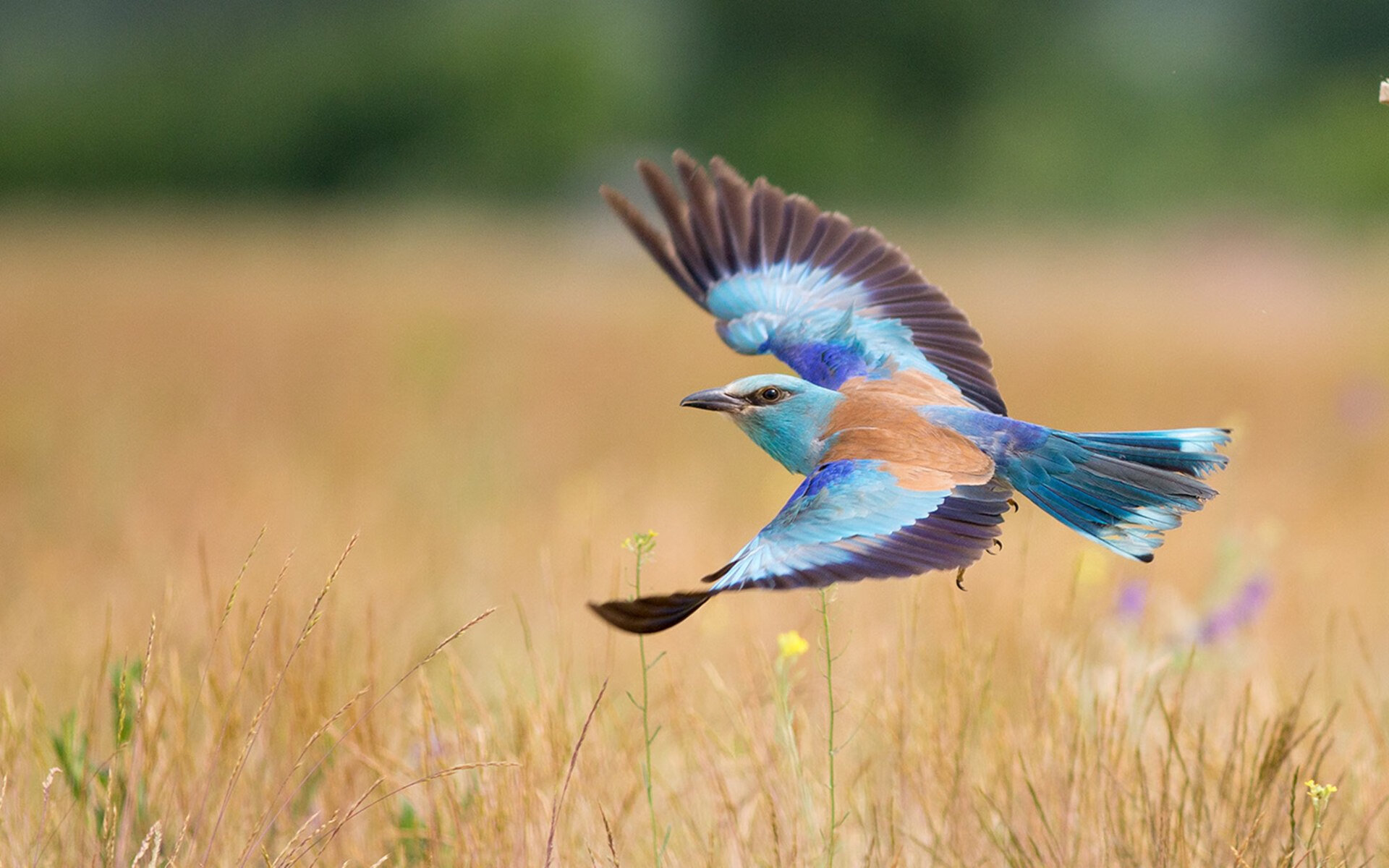 200自个人突破赛季最佳,创小组奇迹