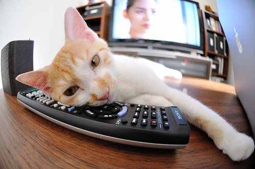 德赢体育官网入口登陆-亚洲杯揭幕战 东道主卡塔尔30大胜，亚洲杯卡塔尔分析