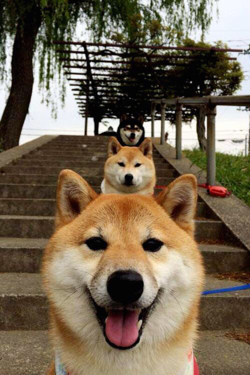 德赢体育官网入口-该项目配速策略调整成效明显，该项目配速策略调整成效明显的原因