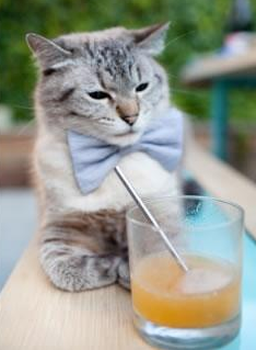 德赢官网登录入口-体育营销活动频出推动赛事IP价值向多领域延伸，体育营销模式