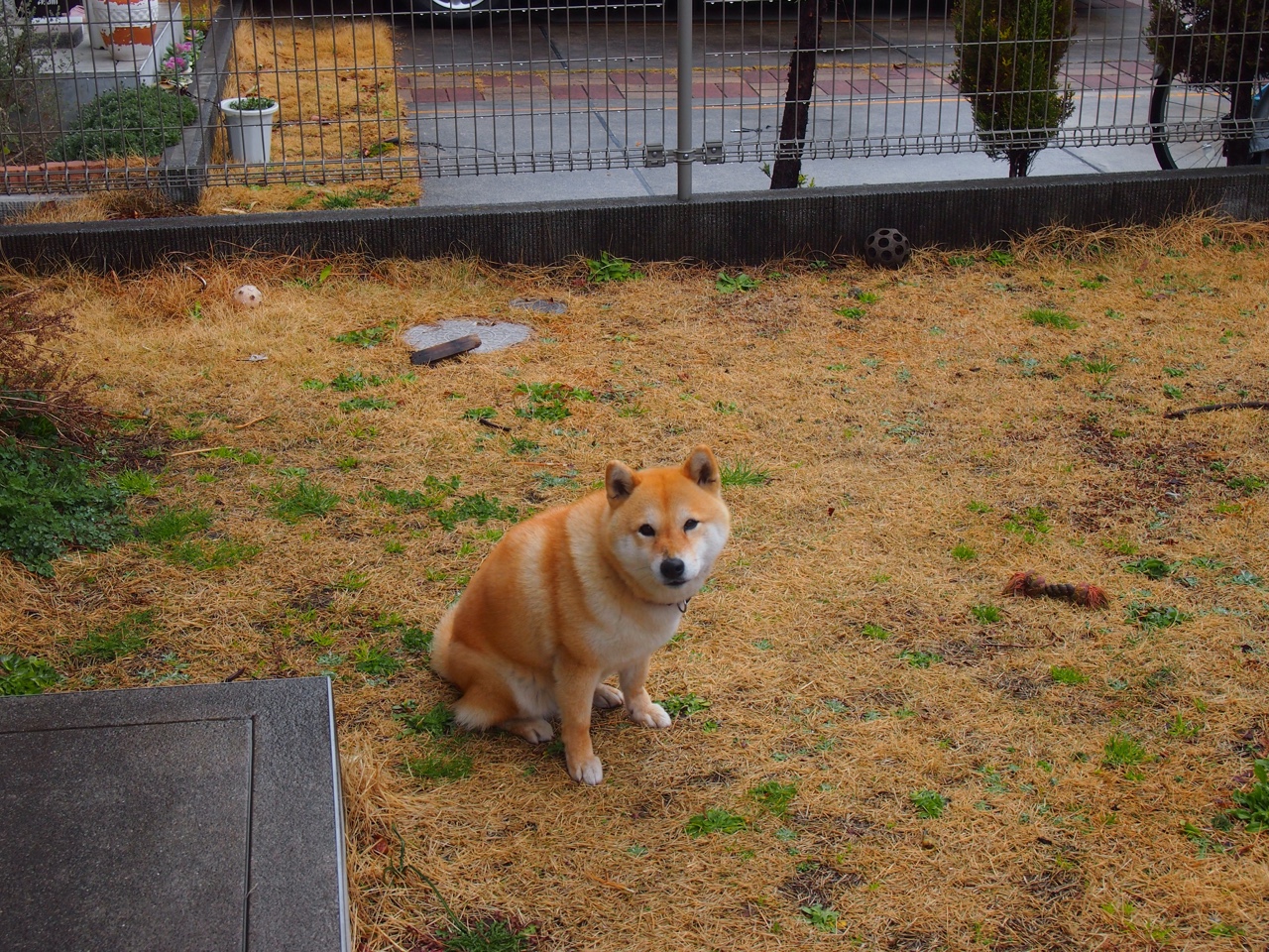 VWIN(china)官方网站-火箭队赛后怒斥裁判NBA季后赛，火箭队赛后怒斥裁判nba季后赛的是谁