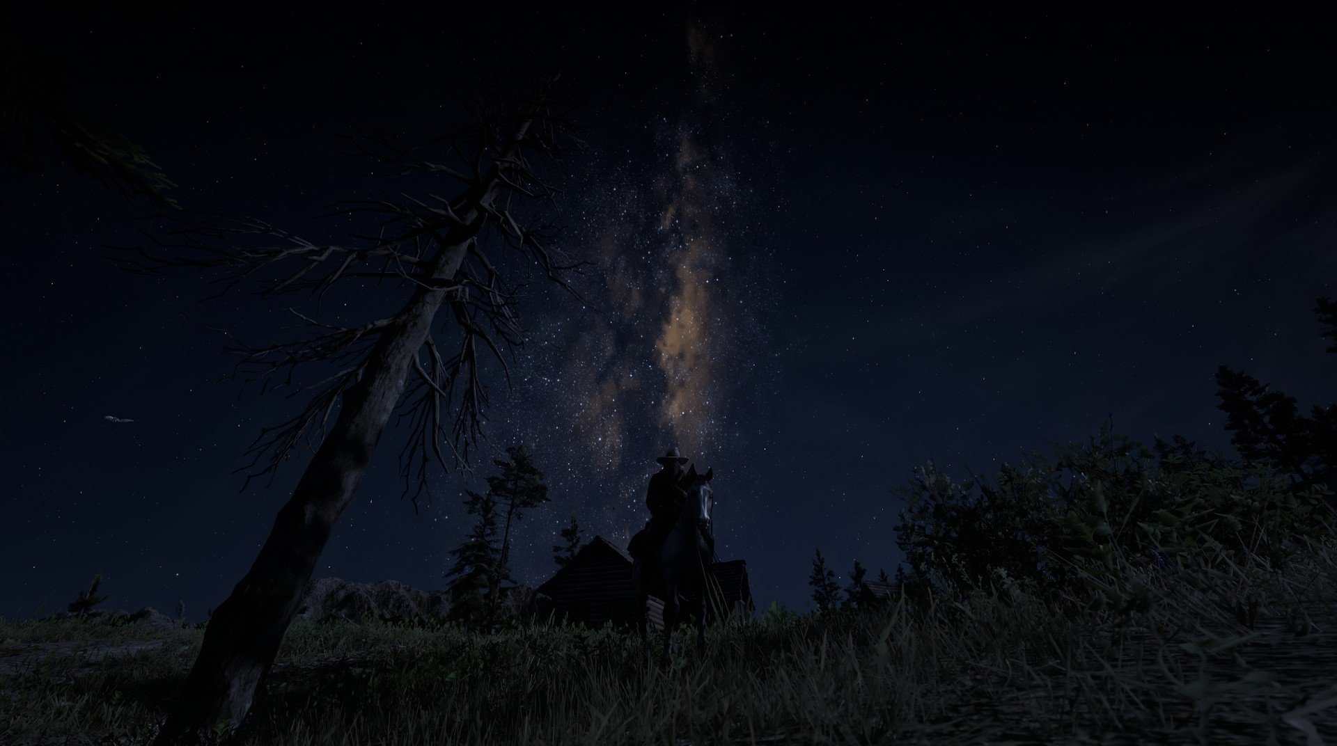 德赢体育app下载安装官方正版-萨默·麦金托什突破自我刷新赛会纪录，麦金托什海报