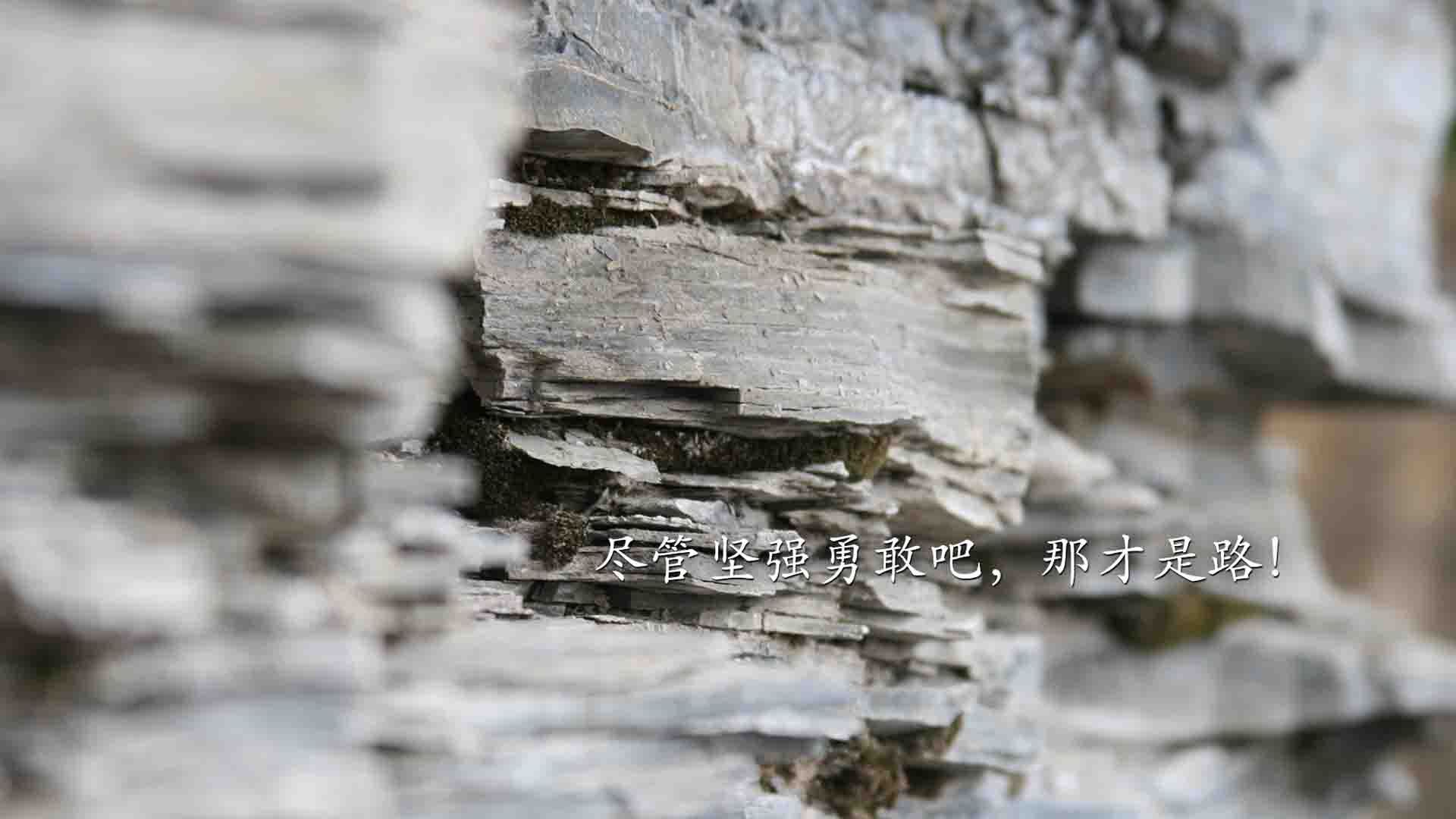 德赢app官网在线登录-跳水组合波兰展现团队默契，波兰跳高运动员